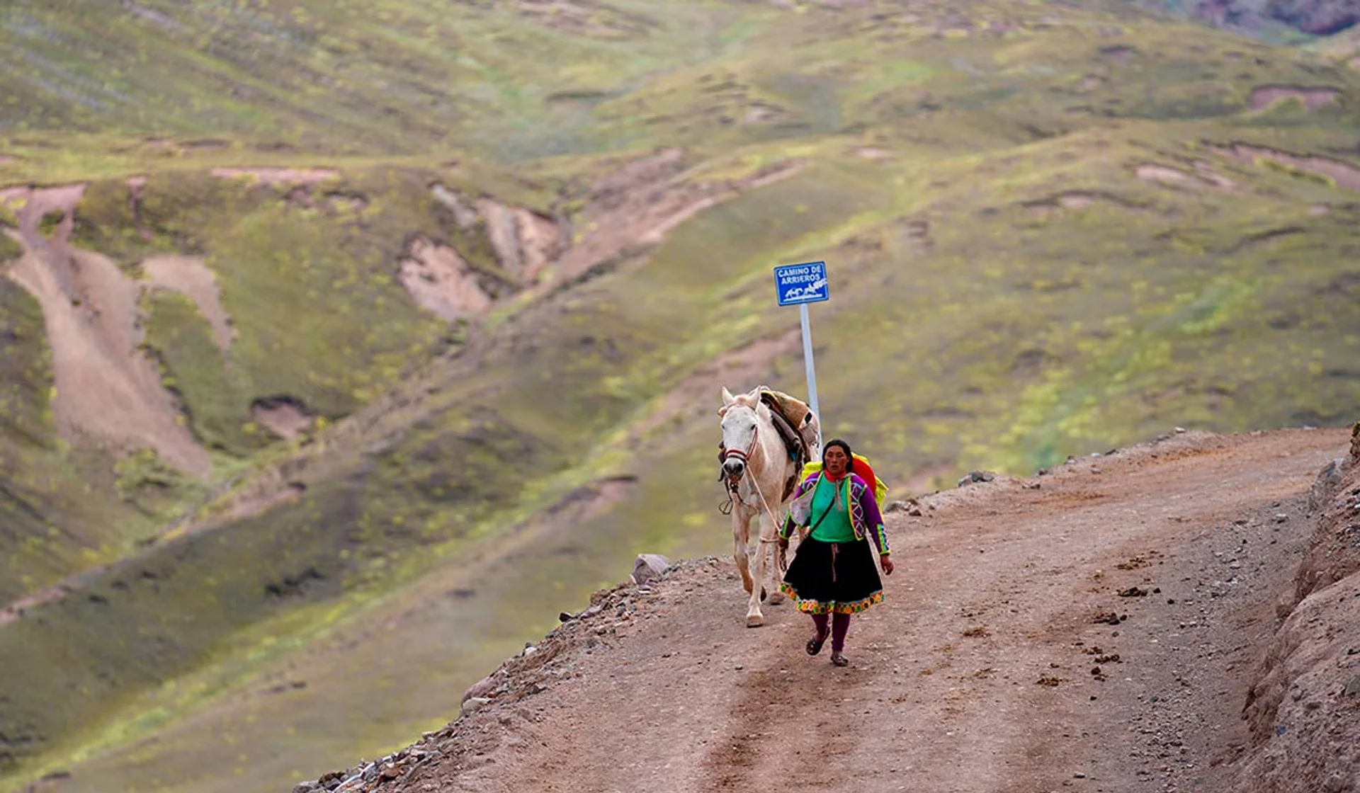 Imagen descriptiva del contenido