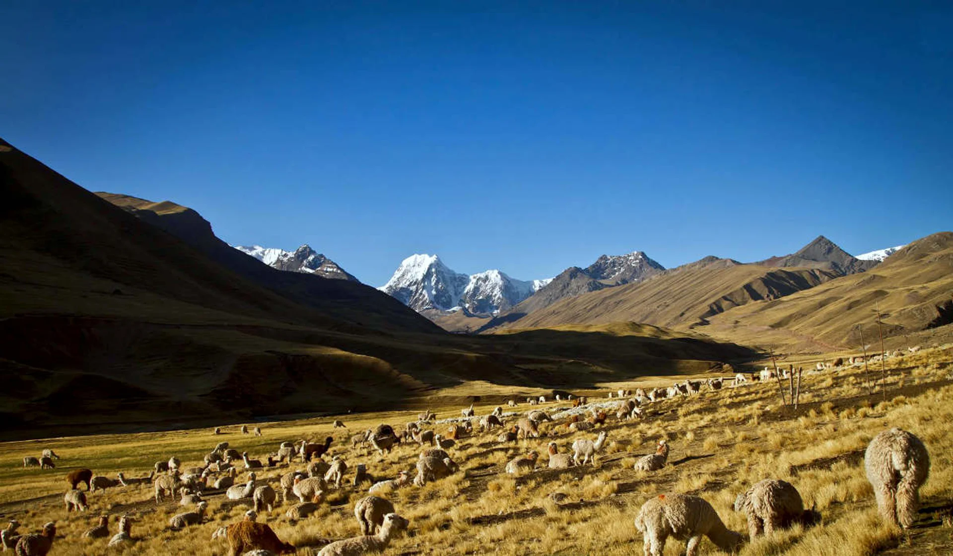 Imagen descriptiva del contenido