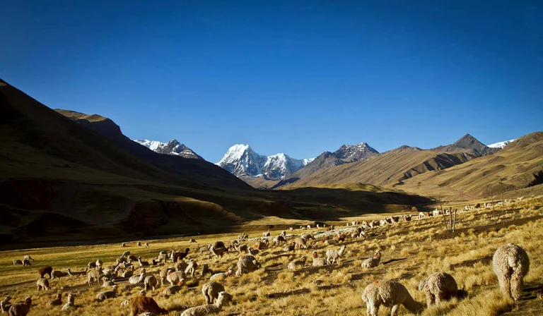 Imagen descriptiva del contenido