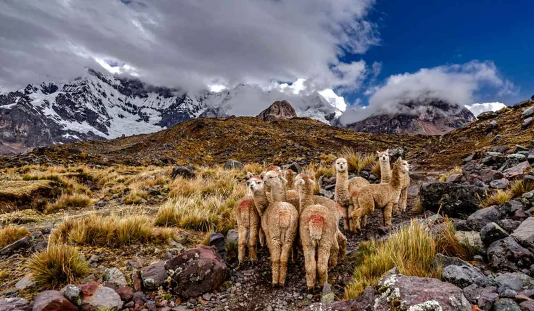 Imagen descriptiva del contenido