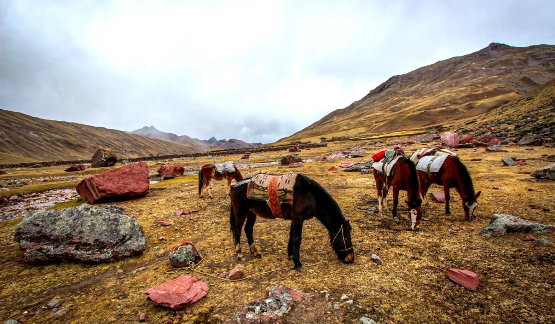 Imagen descriptiva del contenido