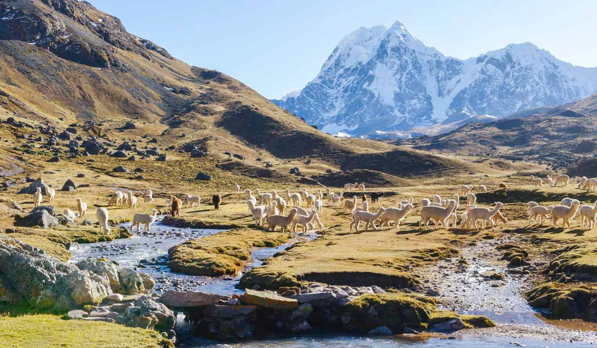 Imagen descriptiva del contenido